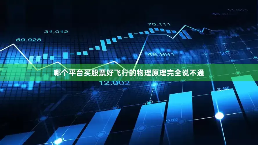 哪个平台买股票好飞行的物理原理完全说不通