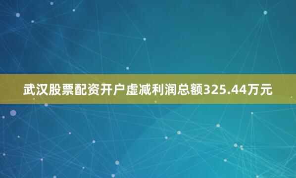 武汉股票配资开户虚减利润总额325.44万元
